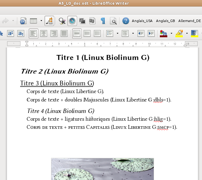 Exemple Distiller sous Trusty+MATE+LibreOffice